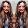 alexishastings